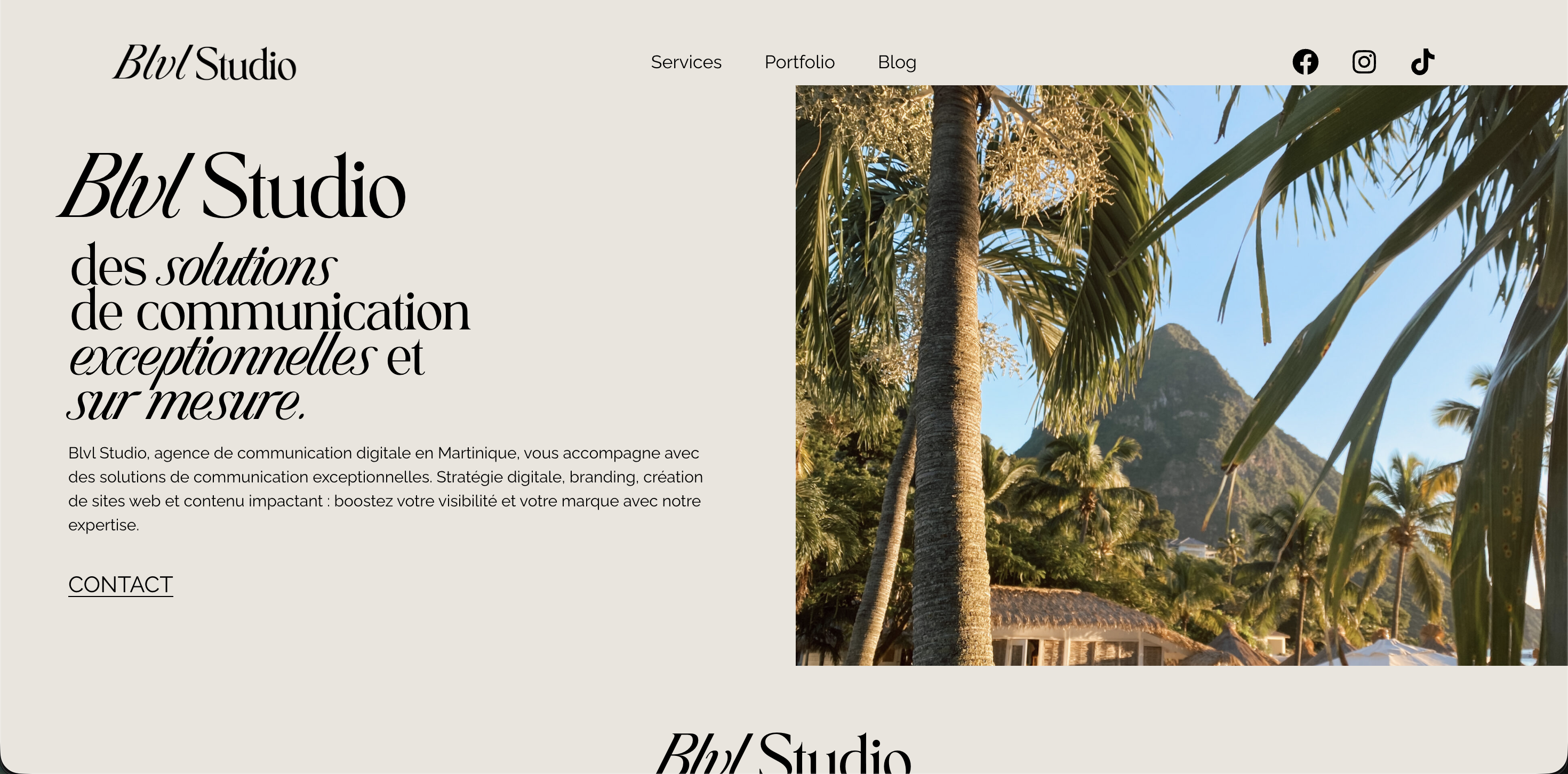Site web BLVL Studio agence communication Martinique - BM Consulting FWI